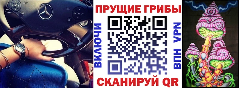 Псилоцибиновые грибы ЛСД  магазин  наркотиков  Тейково 